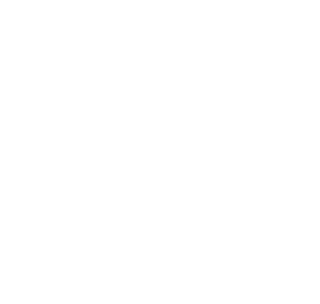 This image has an empty alt attribute; its file name is vissv-white-1024x971.png